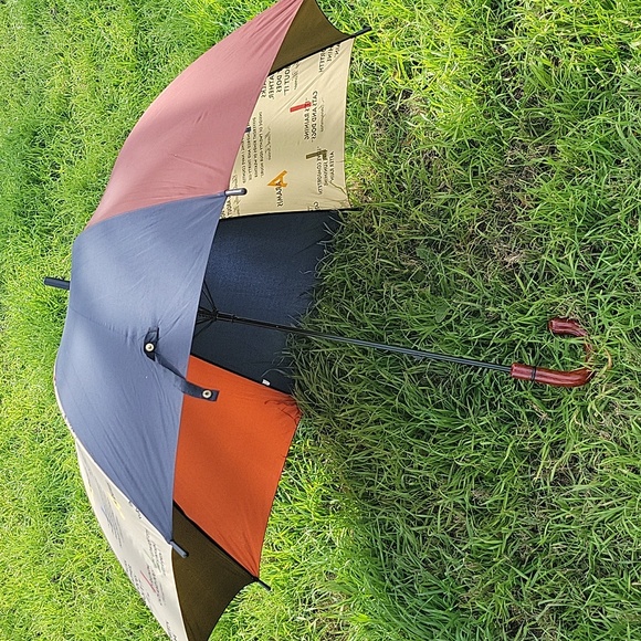 Aramis Talks Dry Wit Rainy Weather Umbrella Hook Handle 35.5 in. Long - Picture 6 of 10